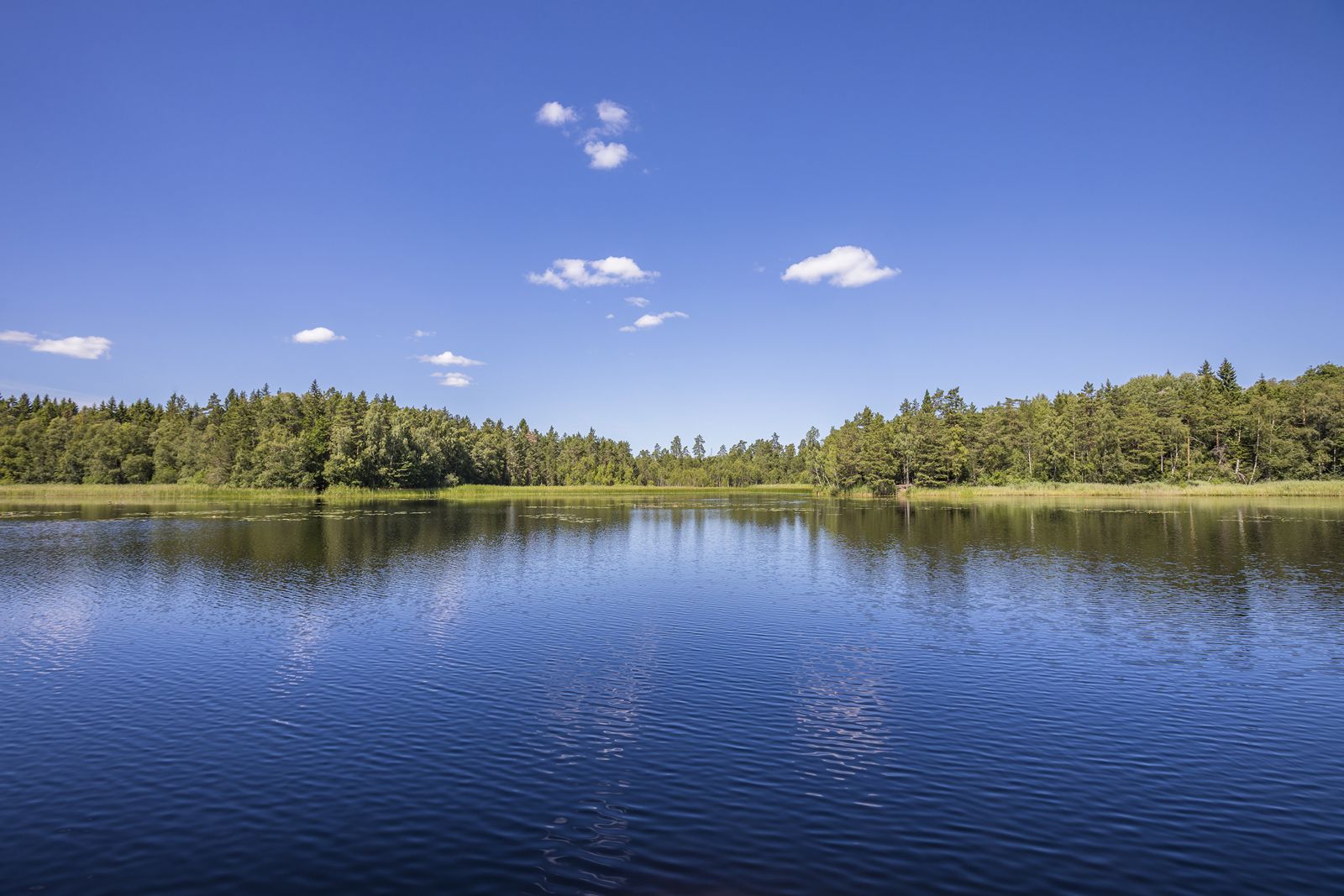 Looking for Advice on Treating Your Cottage Water? Meet Our Cottage Country Water Treatment Experts.